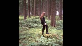 Ulfsdalir - Ruhmtaten der Ahnen