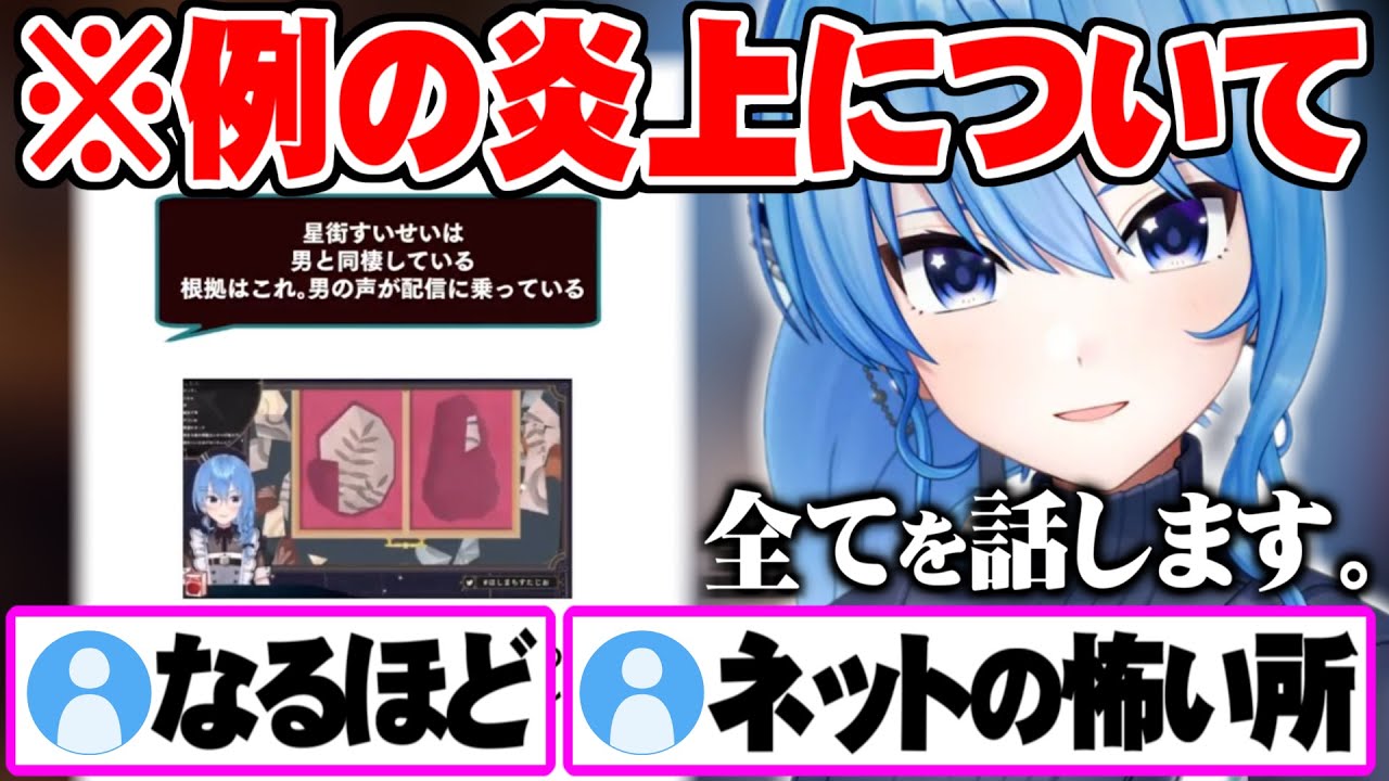 今SNSで何かと話題にされてしまっている件について言及しハッキリさせる星街すいせい【ホロライブ 切り抜き 星街すいせい】