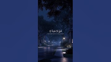 #القارئ_عبدالرحمن_مسعد #القرآن_الكريم #quran #reels أكتب شيء تؤجر عليه