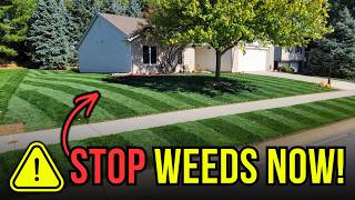 Save Hours of Weeding – Apply Pre-Emergent NOW