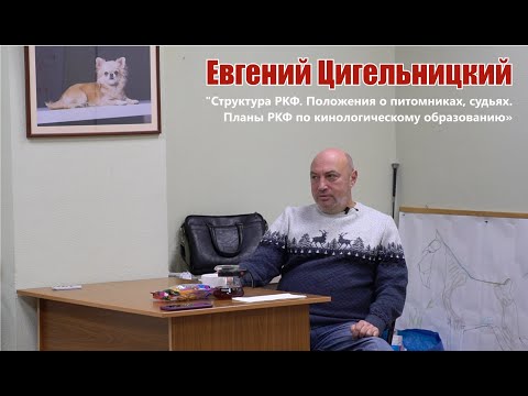 Структура РКФ. Положения о питомниках. Кинологическое образование