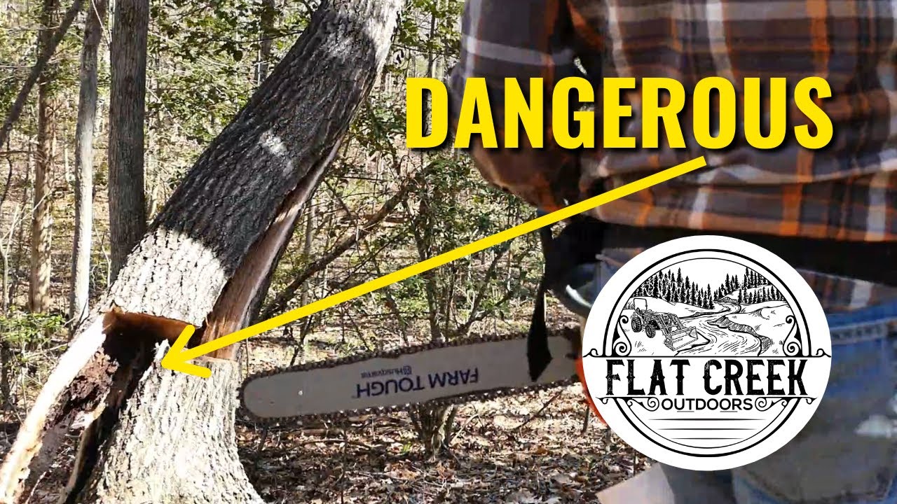 Dangerous Leaning Oak Tested My Felling Skills - YouTube
