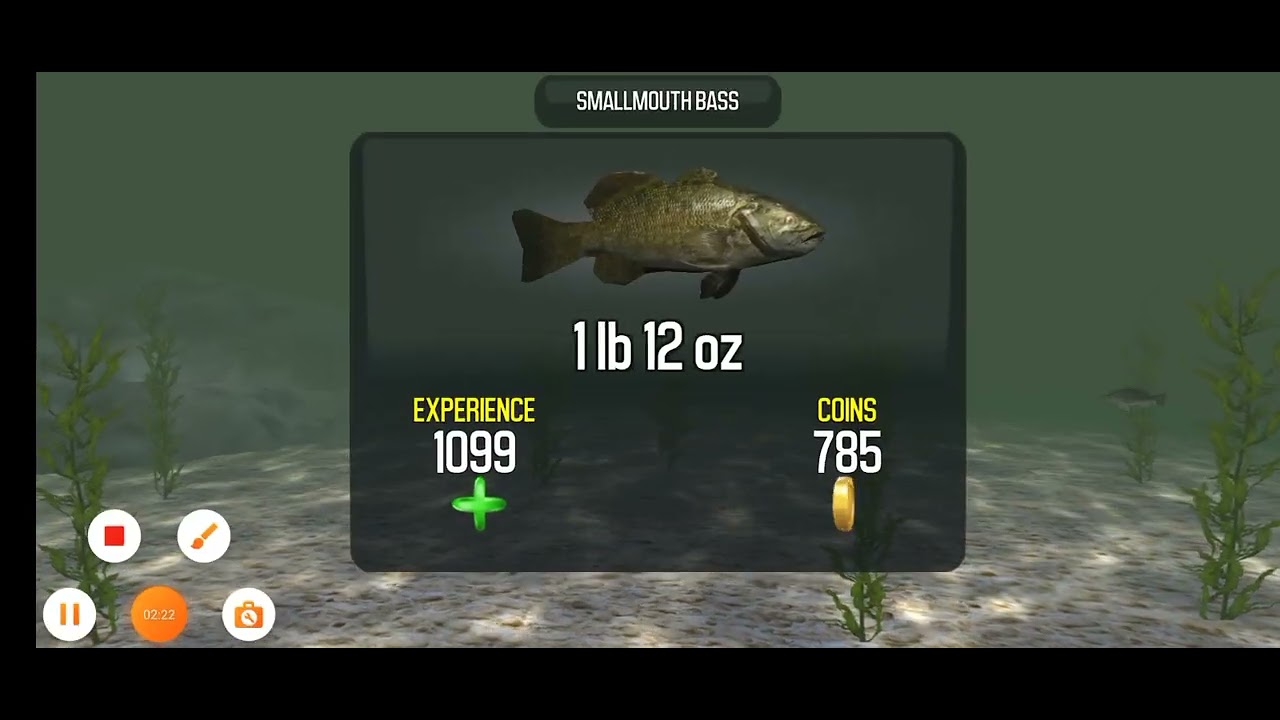 big bass fishing