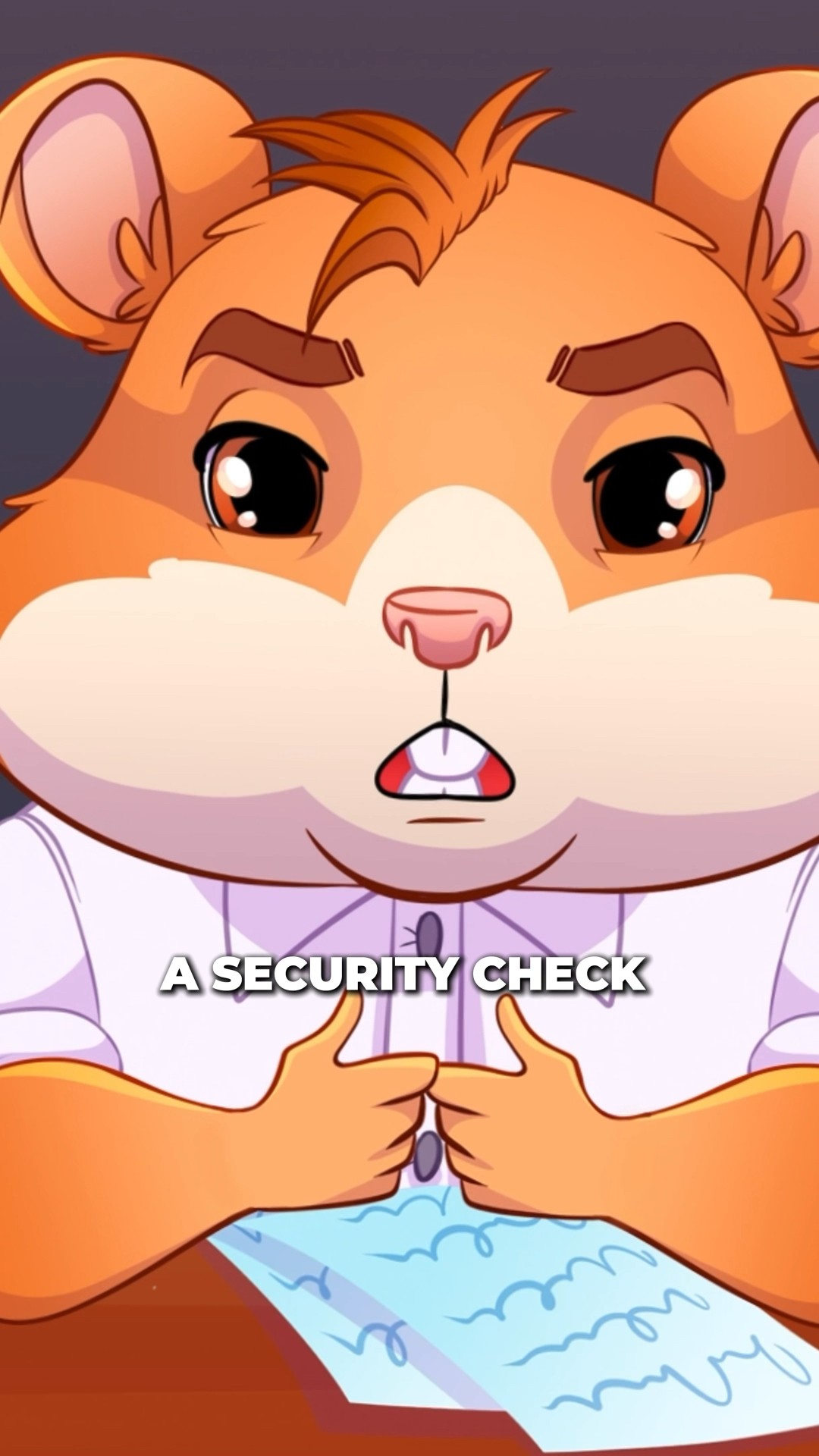 Centralized exchanges main differences HAMSTER ACADEMY