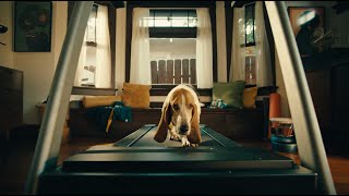 DashPass Pup – DoorDash Commercial