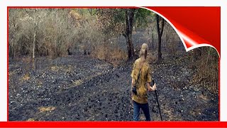 Couple Spends 26 Years Replanting A Rainforest They Bought In 1991, And HereS How It Looks Today 🙃