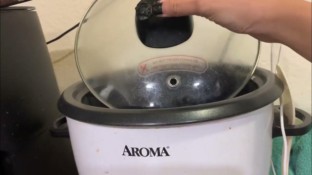 Aroma Housewares ARC 360 NGP 20 Cup Pot Style Rice Cooker & Food