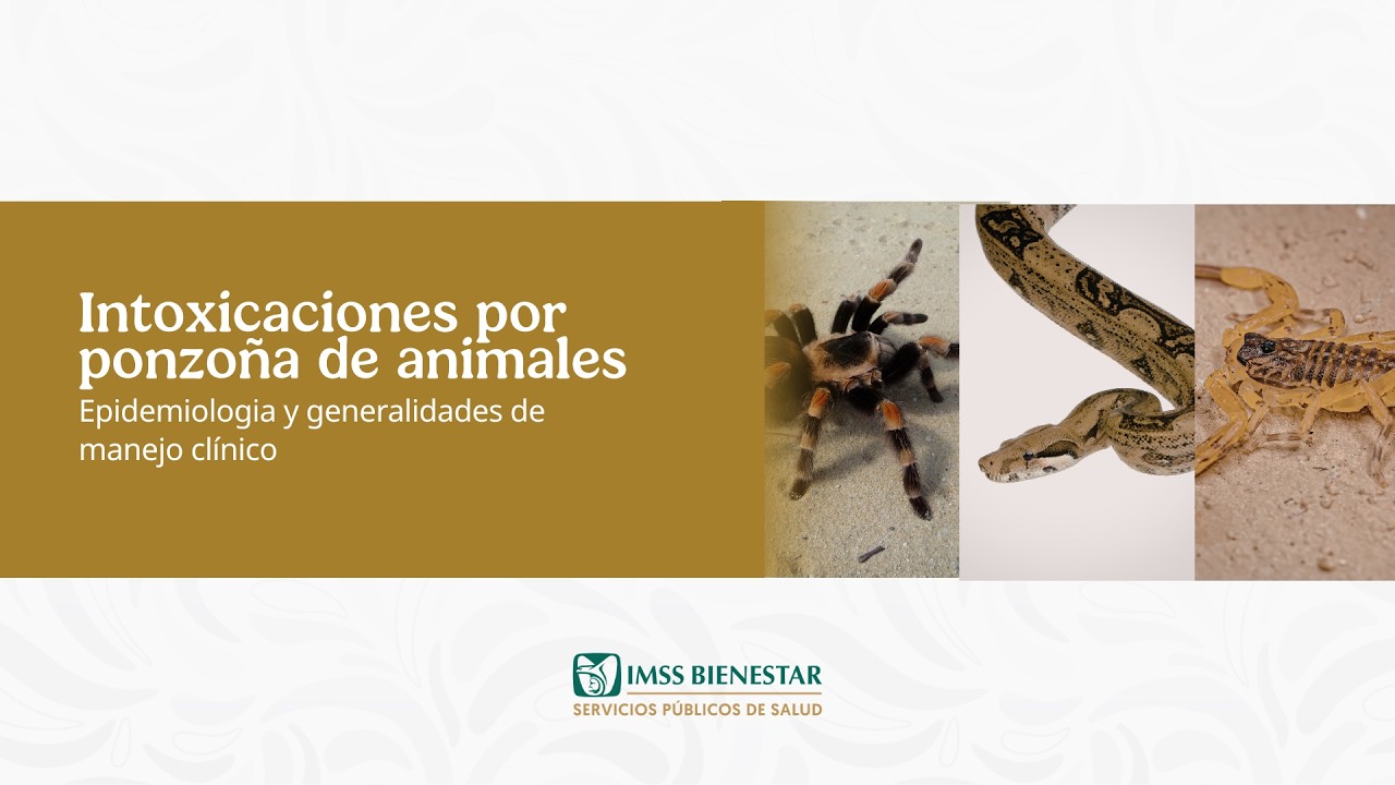 II. Generalidades en el manejo de faboterápicos