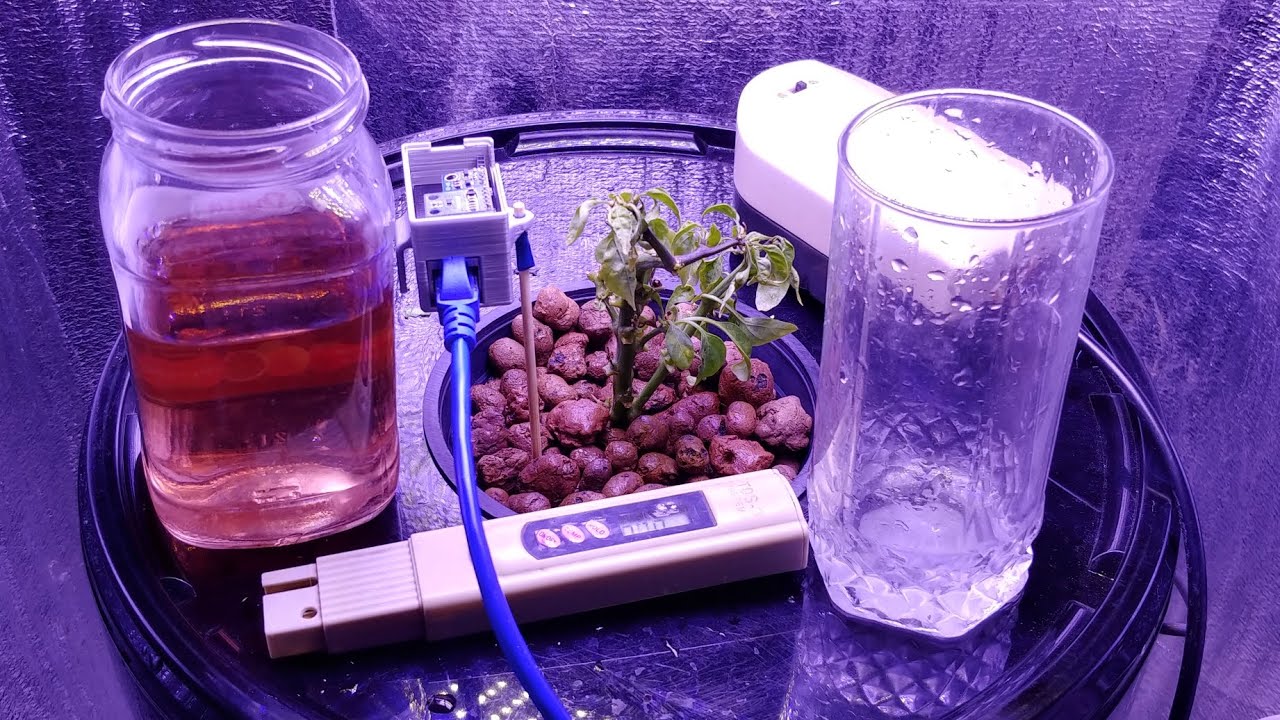 Чем питается растения на гидропоники минеральные удобрения - YouTube