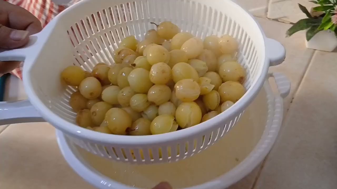 تحويل العنب إلى زبيب طريقة ساهلة ومبسطة في متناول الجميع ❤️😍