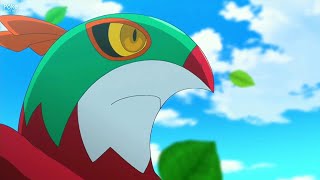 Ash captura Hawlucha