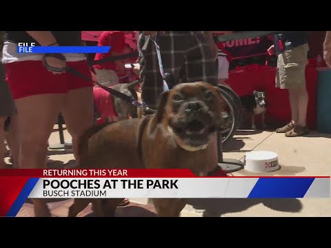 Purina Pooches in the Ballpark returns