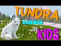 Tundra Ecosystem Quiz