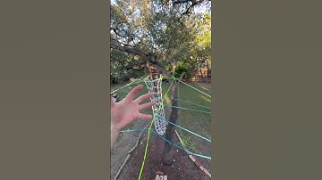 Tree Net Main Loft Weaving