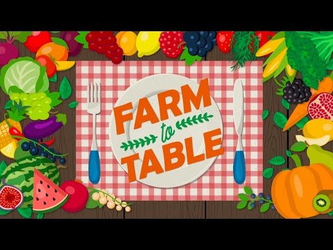 farm to table pantip  2022 Update  Farm to Table