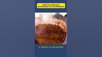 6,000 Tons of Pressure! Watch Bamboo Turn Into Solid Blocks