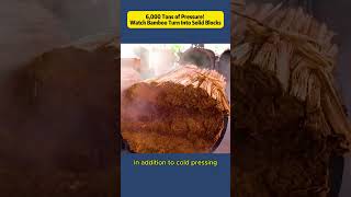 6,000 Tons Of Pressure Watch Bamboo Turn Into Solid Blocks