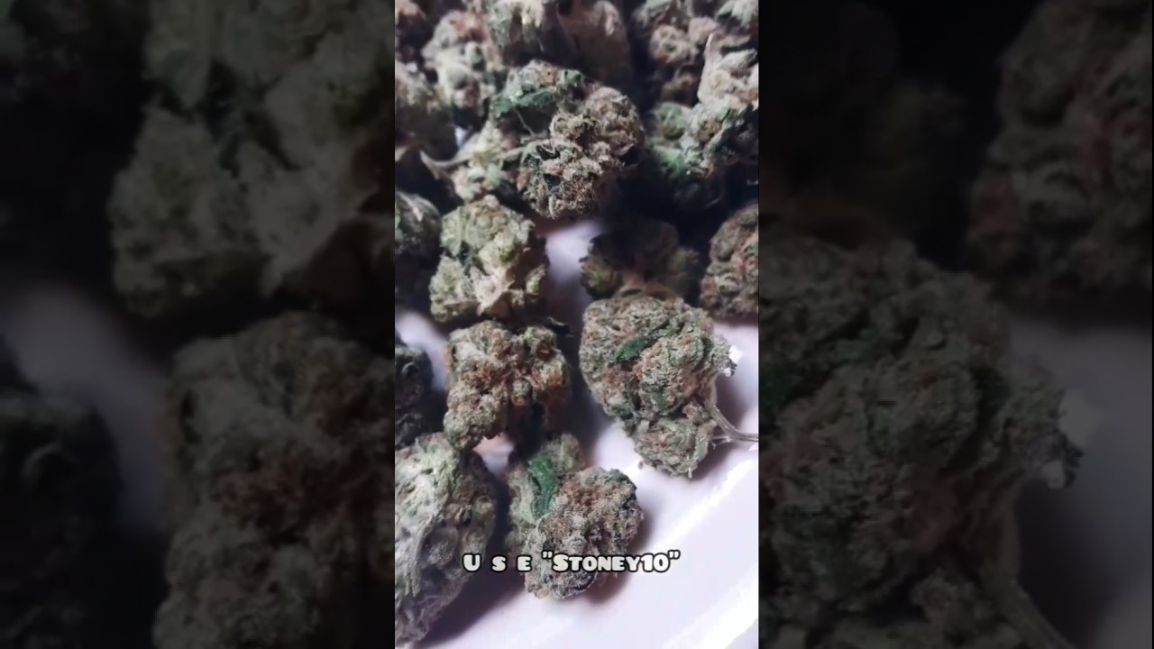 Shophellomary Greenhouse GH Wedding Chapel THCA FLOWER REVIEW 