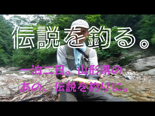Wild Iwana] The World of Mountain Fishing / Minoru Ueno / Yakuwa
