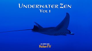 Download Lagu Underwater Zen - MP3
