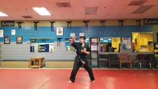 Long Form 2 - Ed Parkers Kenpo Karate (Randy Perez)
