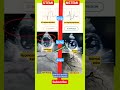 Difference Between STEMI Heart Attack And NSTEMI By ECG ECHO ANGIOGRAPHY Echo Shorts