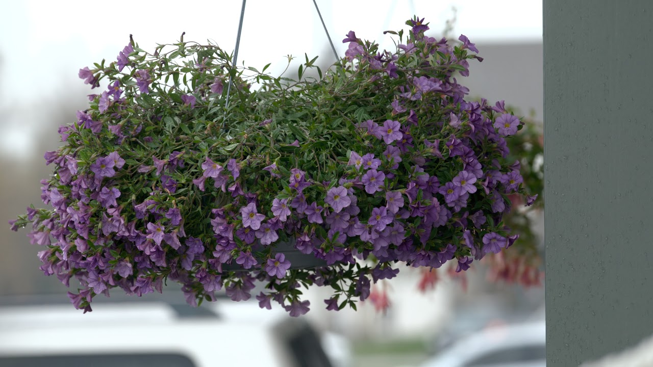 Sony FS5 II ProRes RAW Test