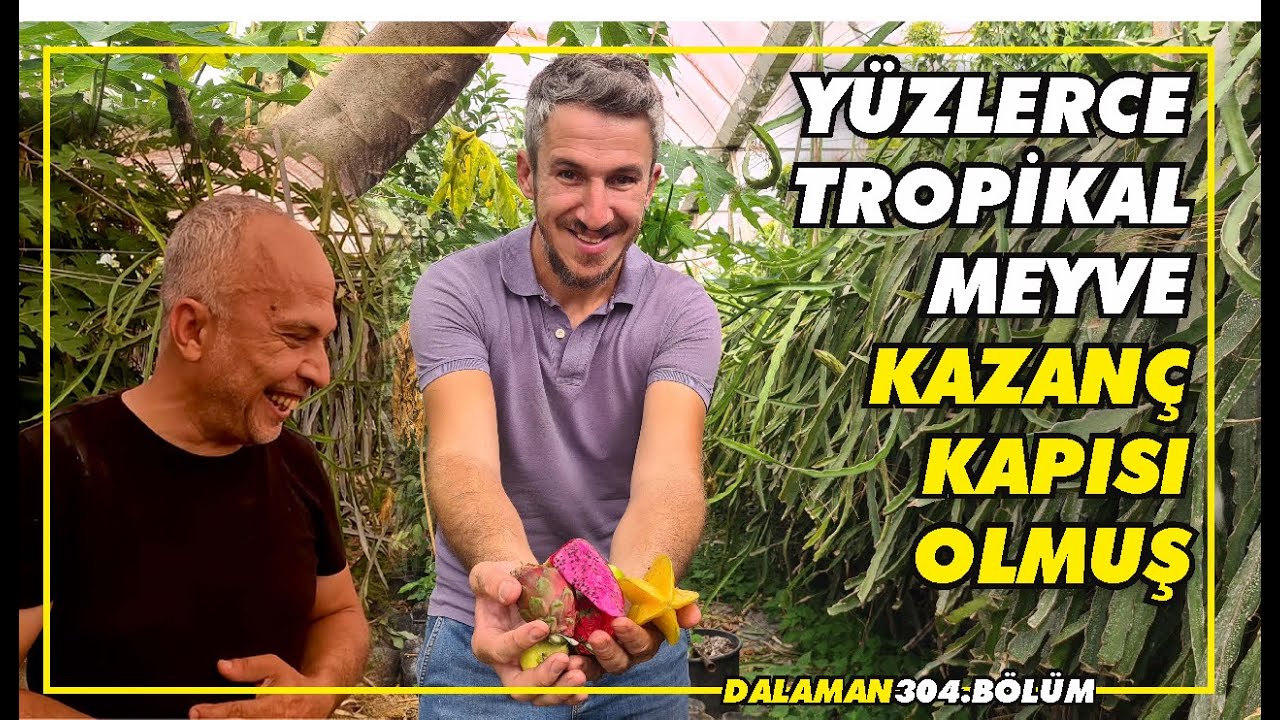 Tanesi 40 tl olan var."Ben üretirim, satılır mı diye düşünmem, kesin satılır" (Dalaman-Köyde kazanç)