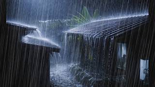 Tropical Rain on Tin Roof: Heavy Rainfall Sounds for Sleeping & Study Focus