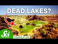 Natural Phenomena and Ecosystems