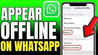 How To Appear Offline On WhatsApp (2026) screenshot 4
