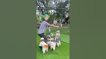 Extrovert and introverts#mbti #personalitytypes #introverts #extroverts