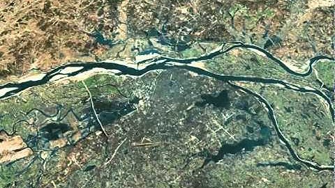 Shark & Taxi GPS Visualization