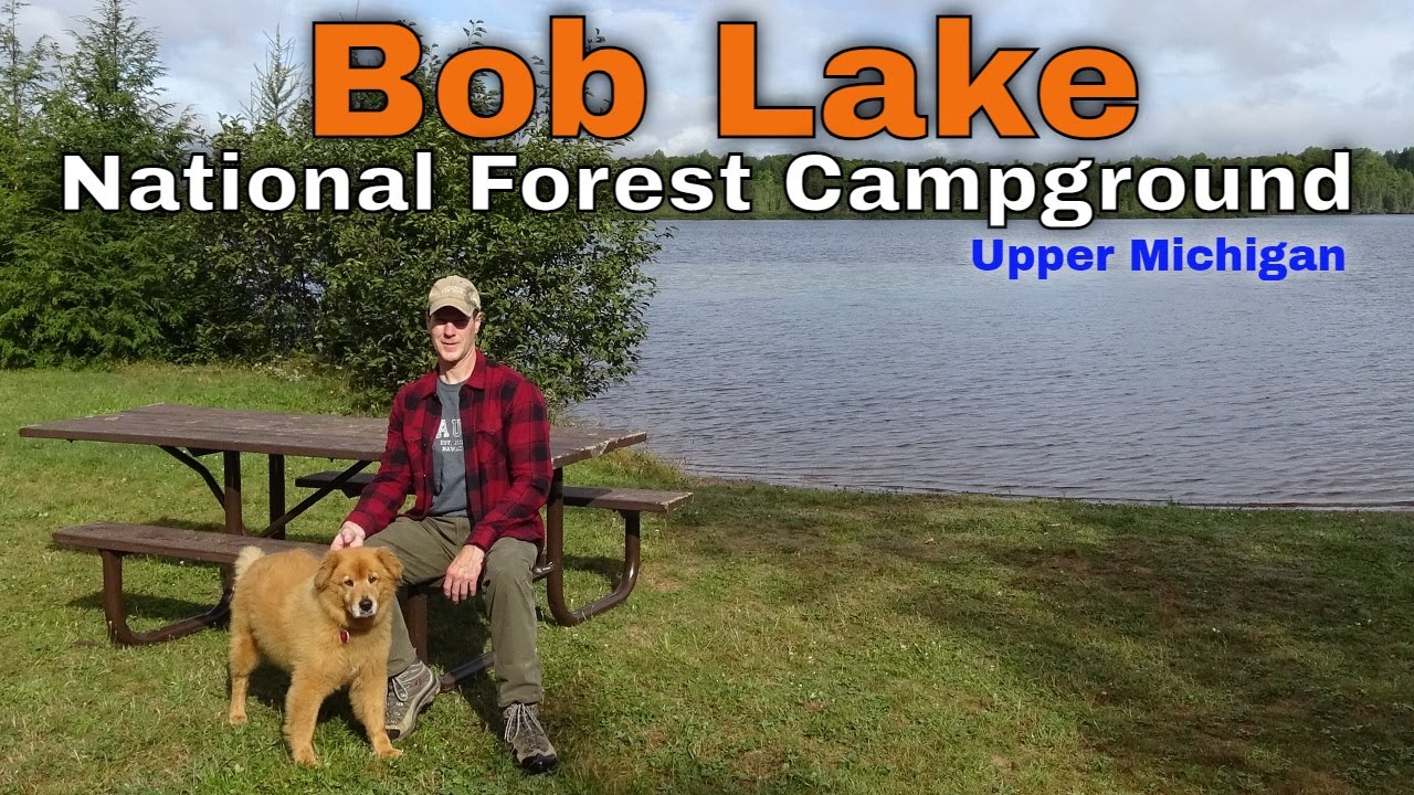 Bob Lake: Michigan National Forest Campground Overview