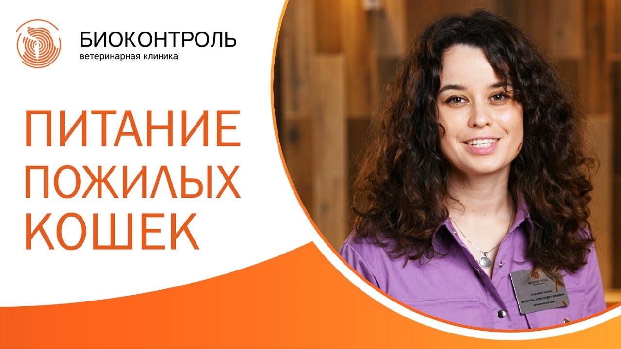 🐟 Особенности кормления пожилой кошки: рацион, порции, ошибки. Пожилые ...