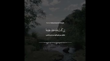 سورة المائدة‏ القارئ محمد الغزالي#تلاوات #سورة_المائدة #تبصرة #قران_الكريم #قرآن #quran