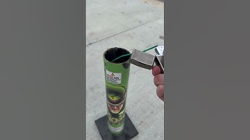 Enigma Salute Shells (2023)