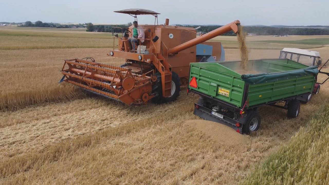 Żniwa 2025 - Świętokrzyskie Ruszyło z Jęczmieniem Ozimym/ Odwiedziny u Bartka/ Bizon -Z056 w Akcji