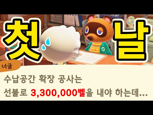 드디어 업데이트 첫날! 너굴이가 미쳤나봐요