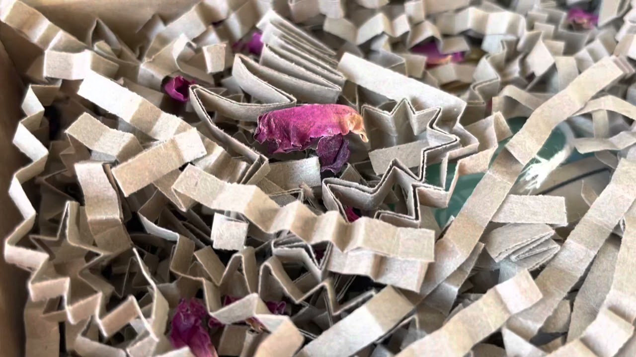 The Eco Witch - Seasonal Magick!