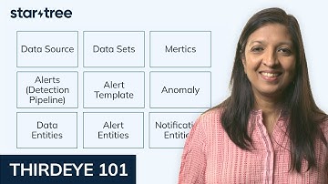 Entities | ThirdEye 101