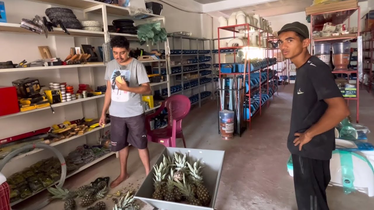 FUNCIONÁRIO COMPRA CARRADA DE ABACAXI E COLOCA NA CONTA DO BRUTINHO