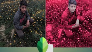 Snapseed pink garden night tune photo editing trick screenshot 5