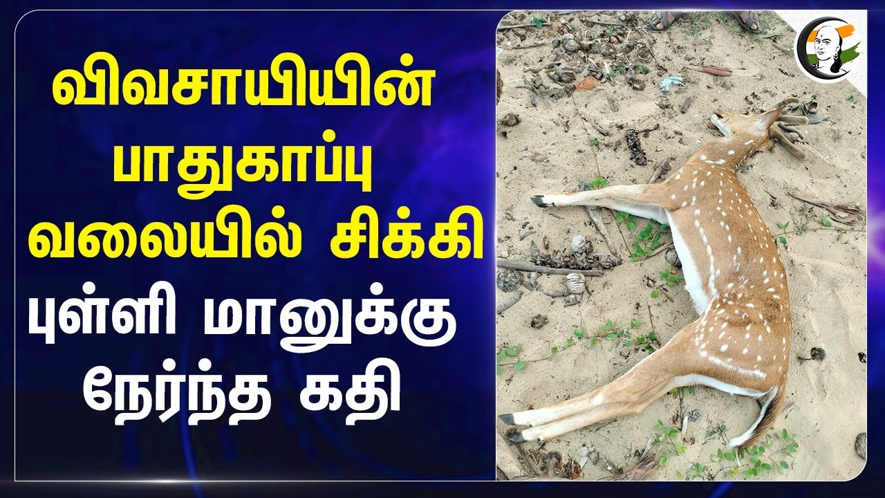 விவசாயின் பாதுகாப்பு வலையில் சிக்கி.. புள்ளி மானுக்கு நேர்ந்த கதி.. Cuddalore