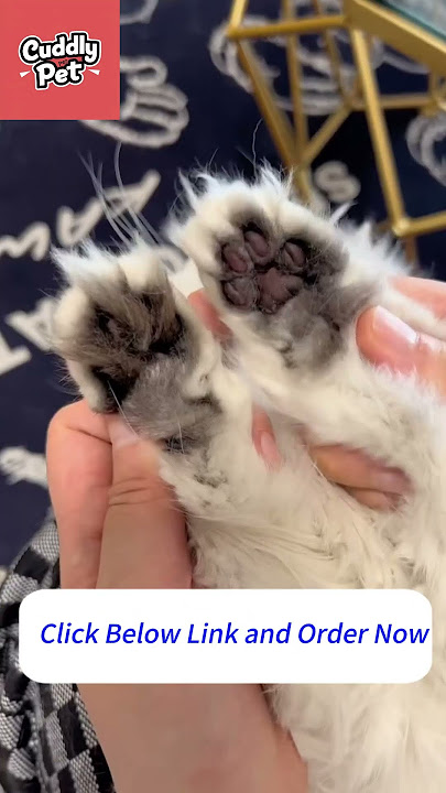 Long-Haired Cat Owners, You NEED This! (Matted Fur Solution) #petcareprovider #bestpetsupplies #pets