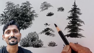 How to draw bushes and tree || Drawing for beginners ||