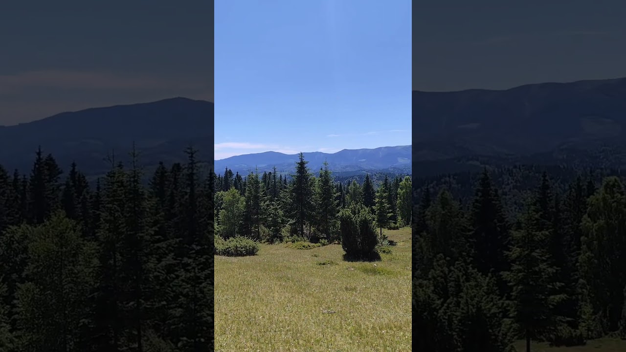 дендропарк Високогірний біля села Бистриця Надвірнянського району Івано-Франківської області