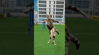 Hit it #ai #viral #roblox #vrfs #edit #vr #football #memes #funny
