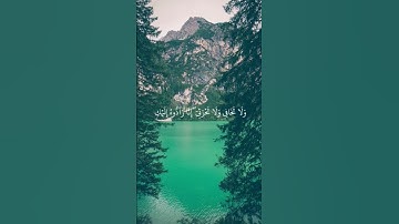 قران سورة القصص الشيخ ياسر الدوسري