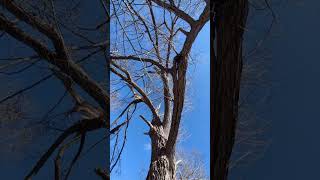 nature and walking trails that are dog friendly #emptynesters  #walkingtrails #dogfriendly